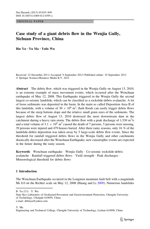 Case study of a giant debris flow in the Wenjia Gully,