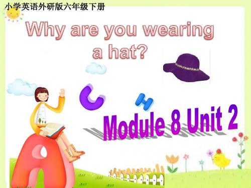 小学英语外研版(三起)六年级下册M8U2Whyareyouwearingahat课件.ppt