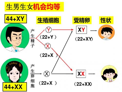 第七单元第二章第五节生物的变异   21张PPT