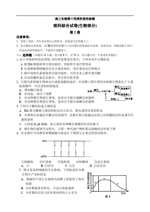 高三生物第十四周阶段性检测.doc