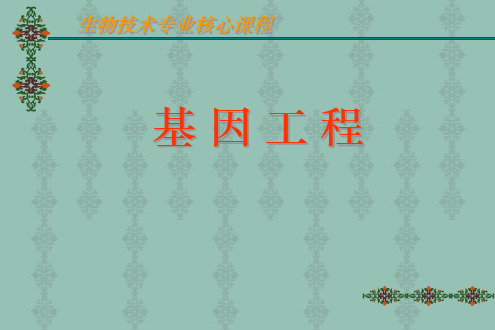 基因工程的主要技术与原理-核酸分离 电泳ppt课件