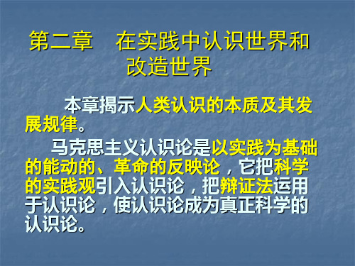 马原讲义第二章在实践中认识世界和改造世界PPT课件