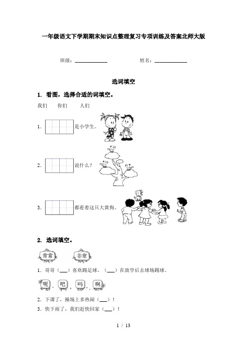 一年级语文下学期期末知识点整理复习专项训练及答案北师大版