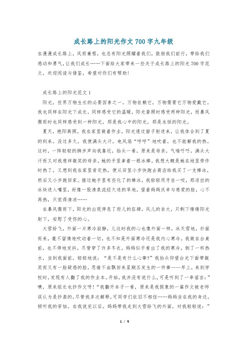 成长路上的阳光作文700字九年级