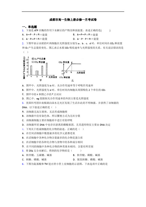 成都市高一生物上册必修一月考试卷