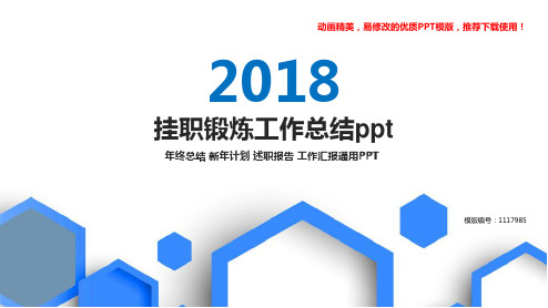 【精品】2018最新挂职锻炼工作总结ppt【精品ppt】