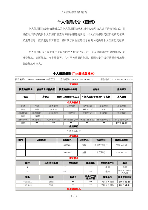 个人信用报告(图例)范参考模板