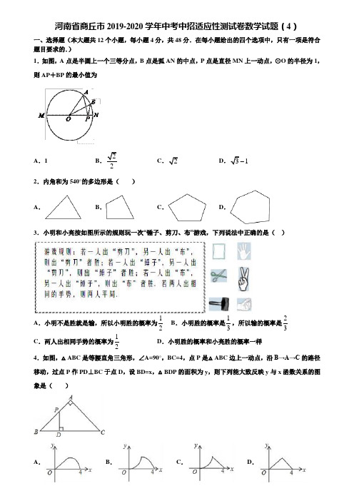 河南省商丘市2019-2020学年中考中招适应性测试卷数学试题(4)含解析