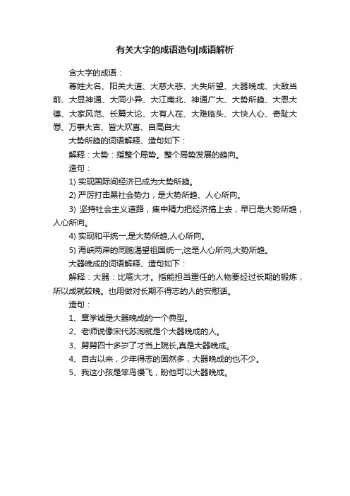 有关大字的成语造句成语解析