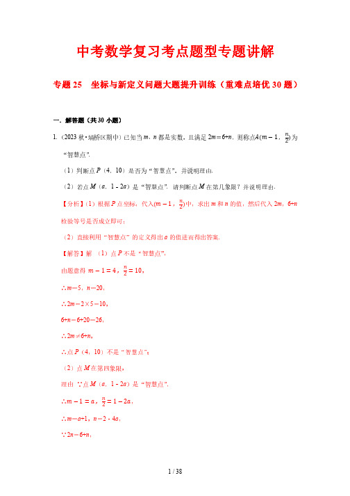 中考数学复习考点题型专题讲解25 坐标与新定义问题大题提升训练