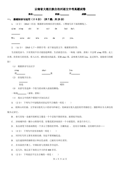 云南省大理白族自治州语文中考真题试卷