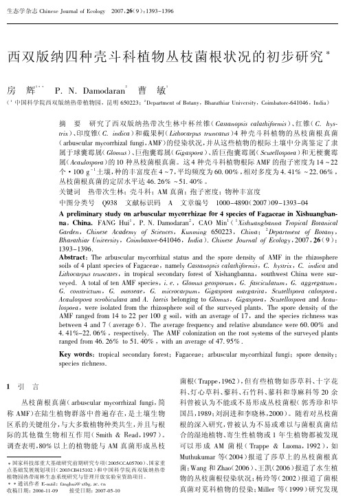 西双版纳四种壳斗科植物丛枝菌根状况的初步研究