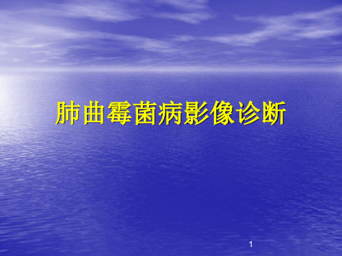 最新肺肺曲霉菌病影像学诊断参考课件