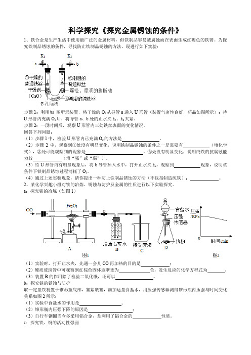 2020年中考人教版化学科学探究《探究金属锈蚀的条件》专题练习