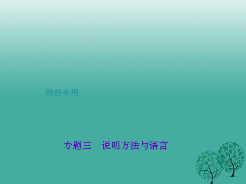 (陕西地区)2017中考语文总复习 第3部分 现代文阅读 第一讲 专题三 说明方法与语言课件