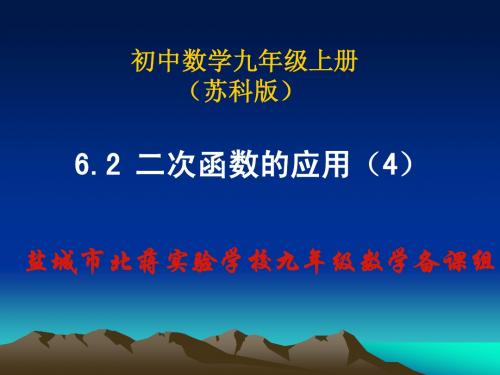 二次函数的应用(4)桥洞问题