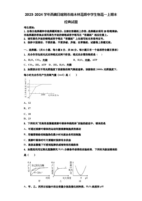 2023-2024学年西藏日喀则市南木林高级中学生物高一上期末经典试题含解析