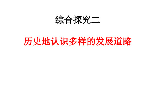 2.6.0综合探究二历史地认识多样的发展道路