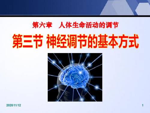 人教版七年级下册生物 《神经调节的基本方式》人体生命活动的调节PPT教学课件