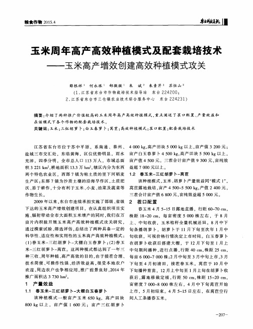 玉米周年高产高效种植模式及配套栽培技术——玉米高产增效创建高