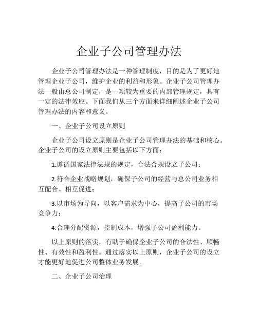 企业子公司管理办法