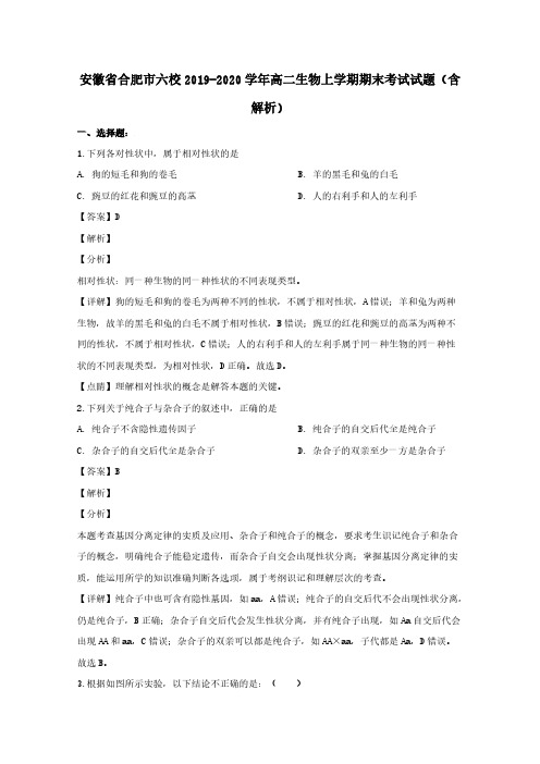 安徽省合肥市六校2019-2020学年高二生物上学期期末考试试题(含解析)