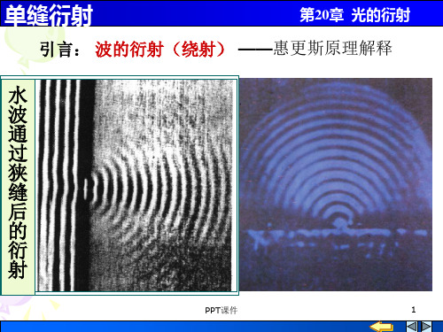 单缝衍射  ppt课件