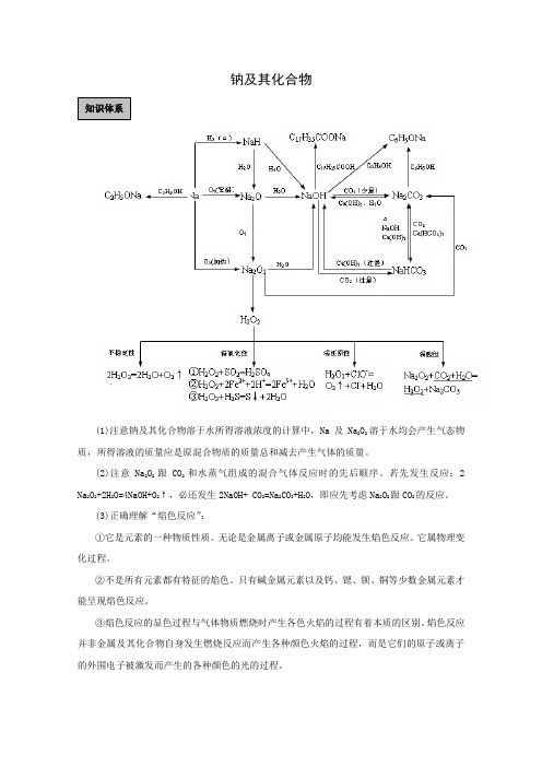 2020届高考化学一轮复习钠及其化合物学案 (2)