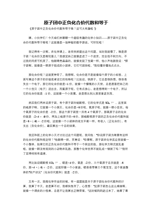 原子团中正负化合价代数和等于