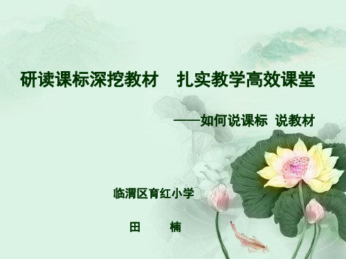 怎样说课标、说教材 田楠