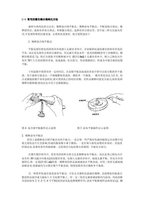 常用的微生物分离纯化方法[整理版]