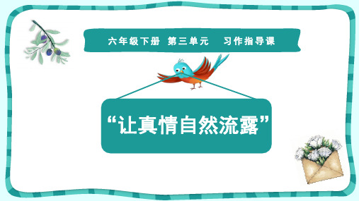 部编版六年级语文下册第三单元 习作指导 课