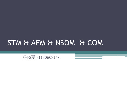 STM & AFM & NSOM  & Confocal Optical