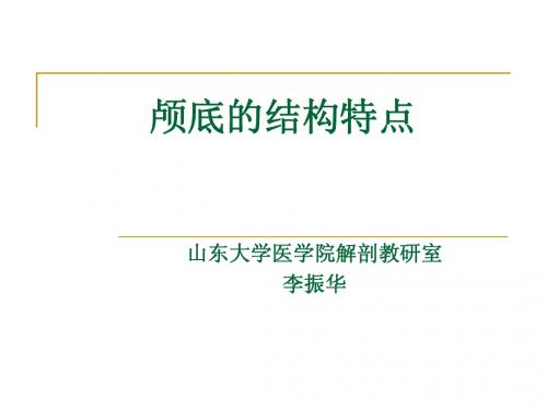 2 颅底的结构特点