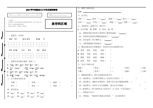 【精品】2020学年部编语文小升初真题预测卷 (4)(人教部编版,含答案)