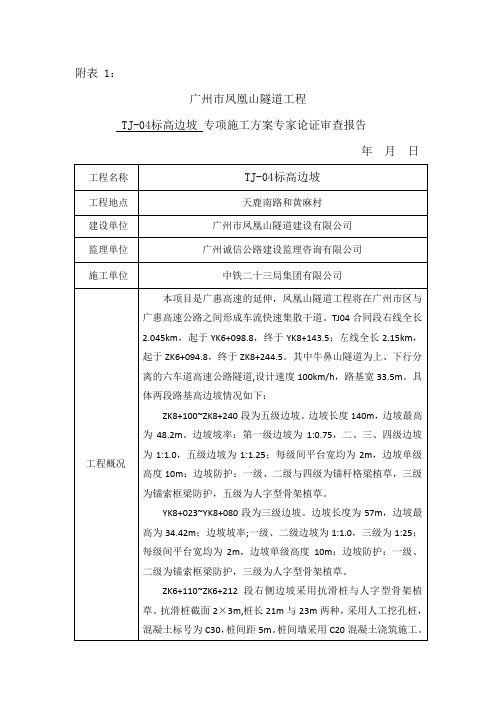 中铁四标高边坡专项施工方案专家论证审查报告(专家填写)