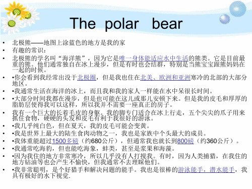 演示文稿The polar bear
