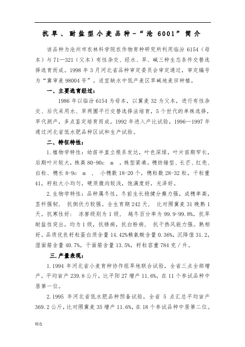 抗旱、耐盐型小麦品种-沧6001简介课件