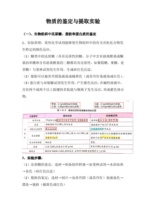 物质的鉴定与提取实验-高一上学期生物人教版必修1