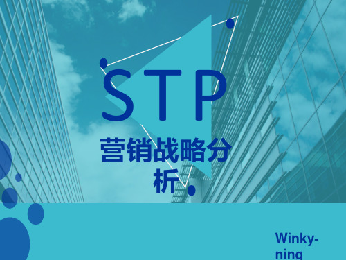 STP战略分析