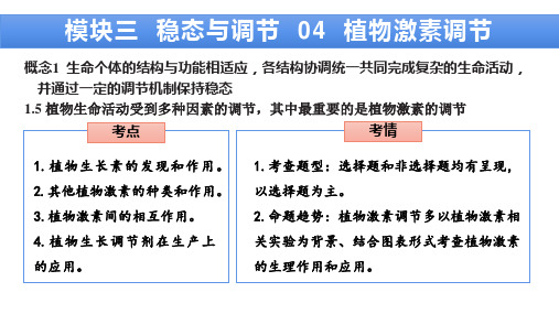 模块三稳态与调节04 植物激素调节-2023年高考生物二轮复习