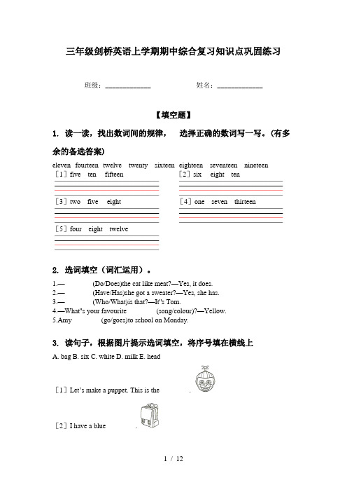 三年级剑桥英语上学期期中综合复习知识点巩固练习