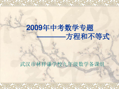 2009年中考数学专题