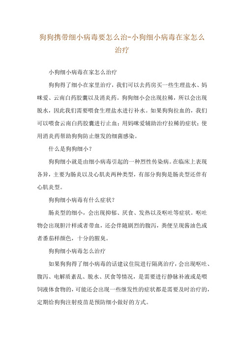 狗狗携带细小病毒要怎么治-小狗细小病毒在家怎么治疗