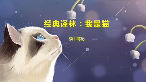 经典译林：我是猫