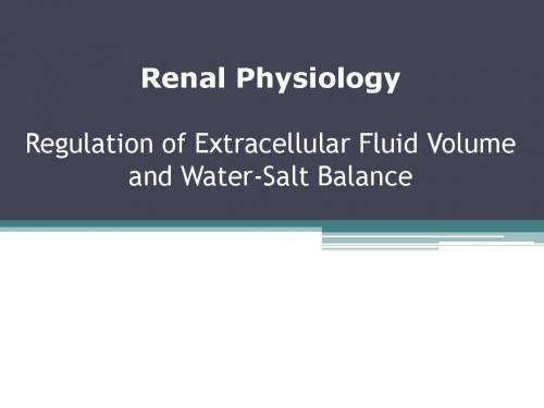 Renal Physiology