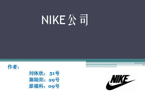 关于NIKE公司的CIS调查分析