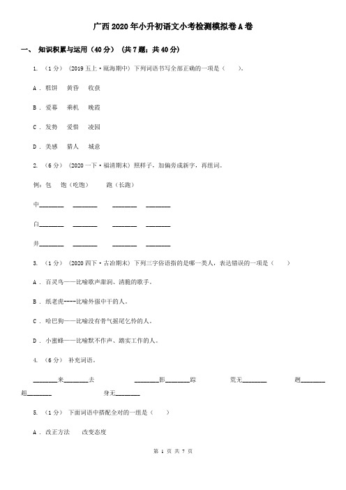 广西2020年小升初语文小考检测模拟卷A卷