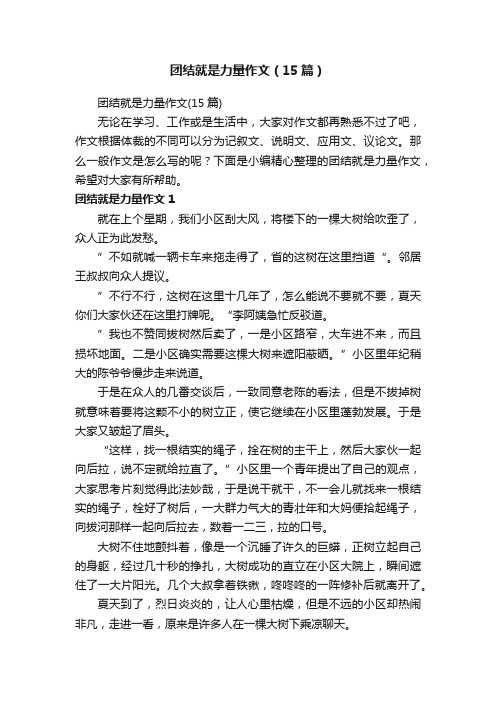 团结就是力量作文（15篇）