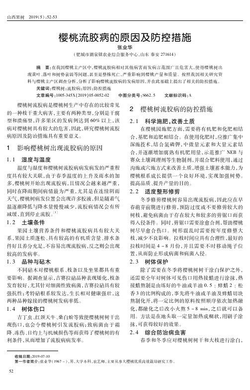 樱桃流胶病的原因及防控措施